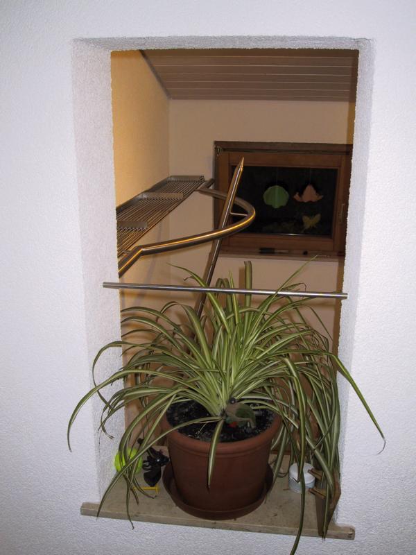 Name: 105-0572_IMG.JPG 
Format: 322 x 430
Größe: 62 KB