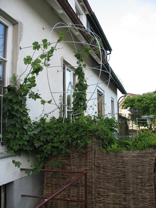 Name: IMG_1944.JPG 
Format: 322 x 430
Größe: 102 KB