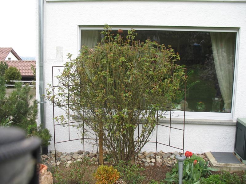 Name: IMG_6804.JPG 
Format: 430 x 322
Größe: 102 KB